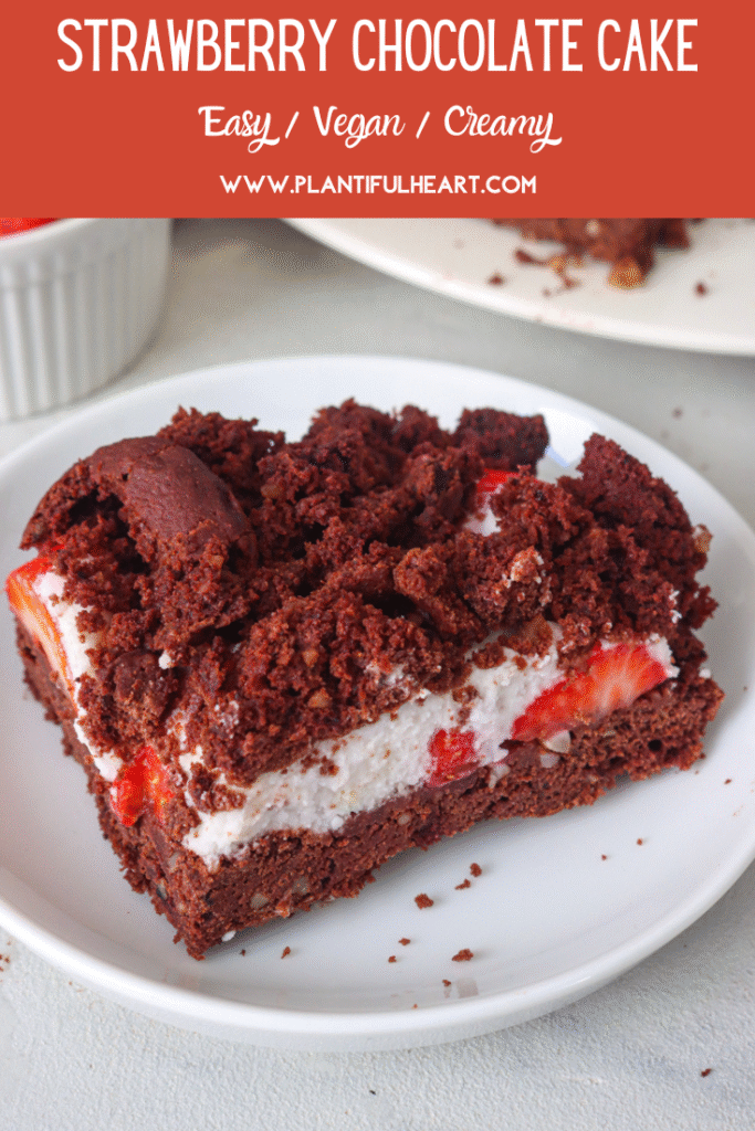 Strawberry Chocolate Cake