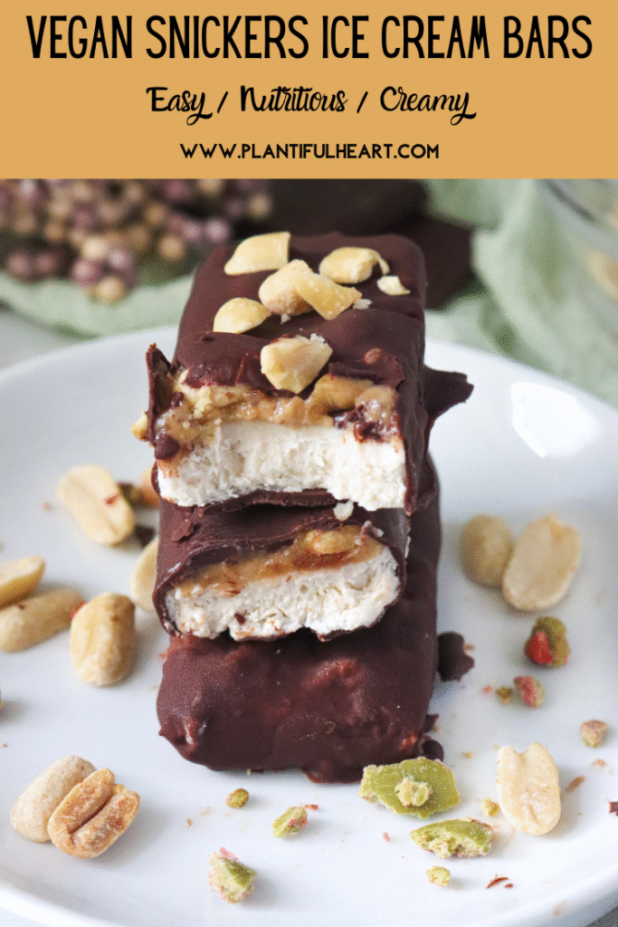 Vegan Ice Cream Bars 1